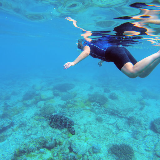 Snorkeling in Dominica