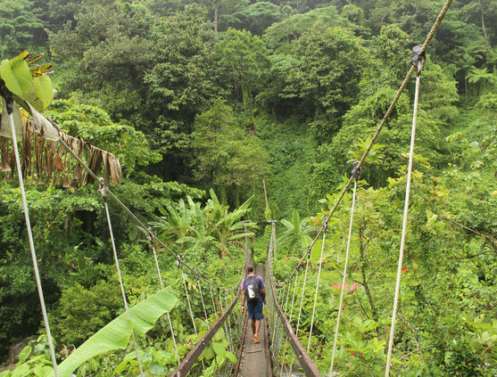 Hiking in Fiji