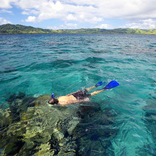 Snorkeling in Fiji