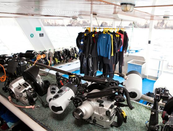 SCUBA diving in the Galapagos Islands