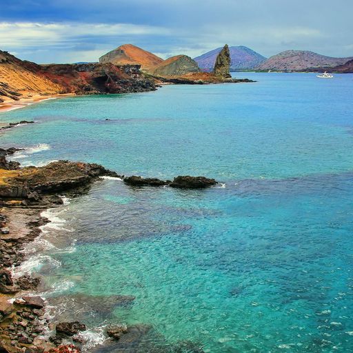 Vacations in the Galapagos Islands