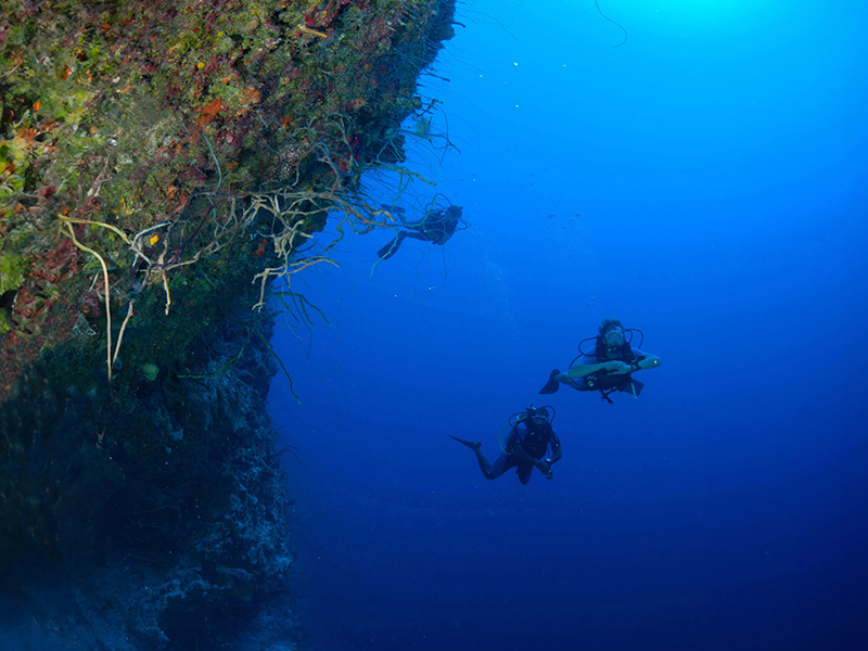 A mile-deep wall lies just off the southern shore of Cat Island.