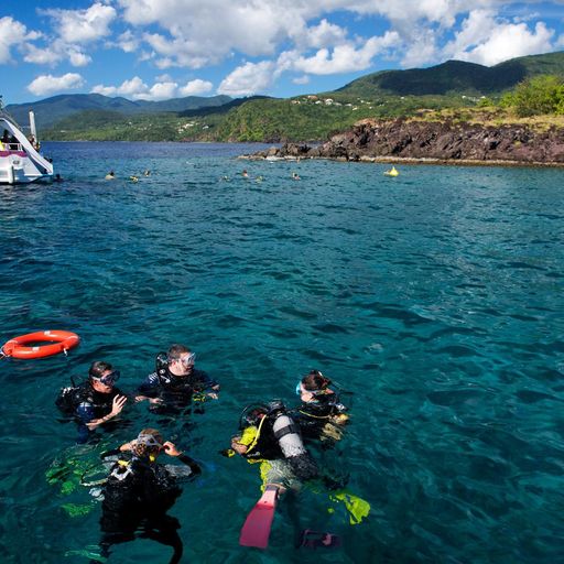 SCUBA diving in Guadeloupe
