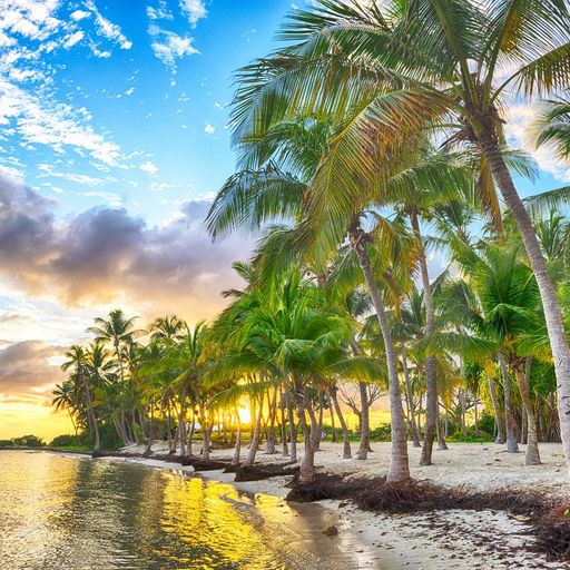 Vacations in the Guadeloupe Islands