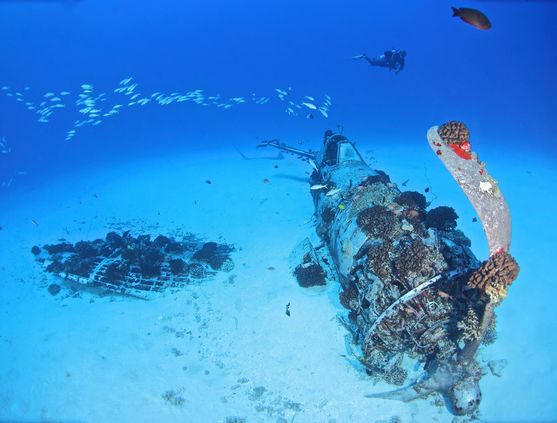SCUBA diving in Hawaii
