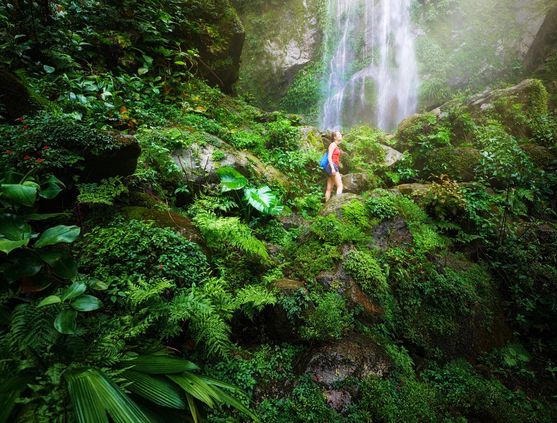Hiking in the Bay Islands, Honduras