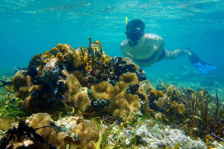 Snorkeling in the Bay Islands, Honduras