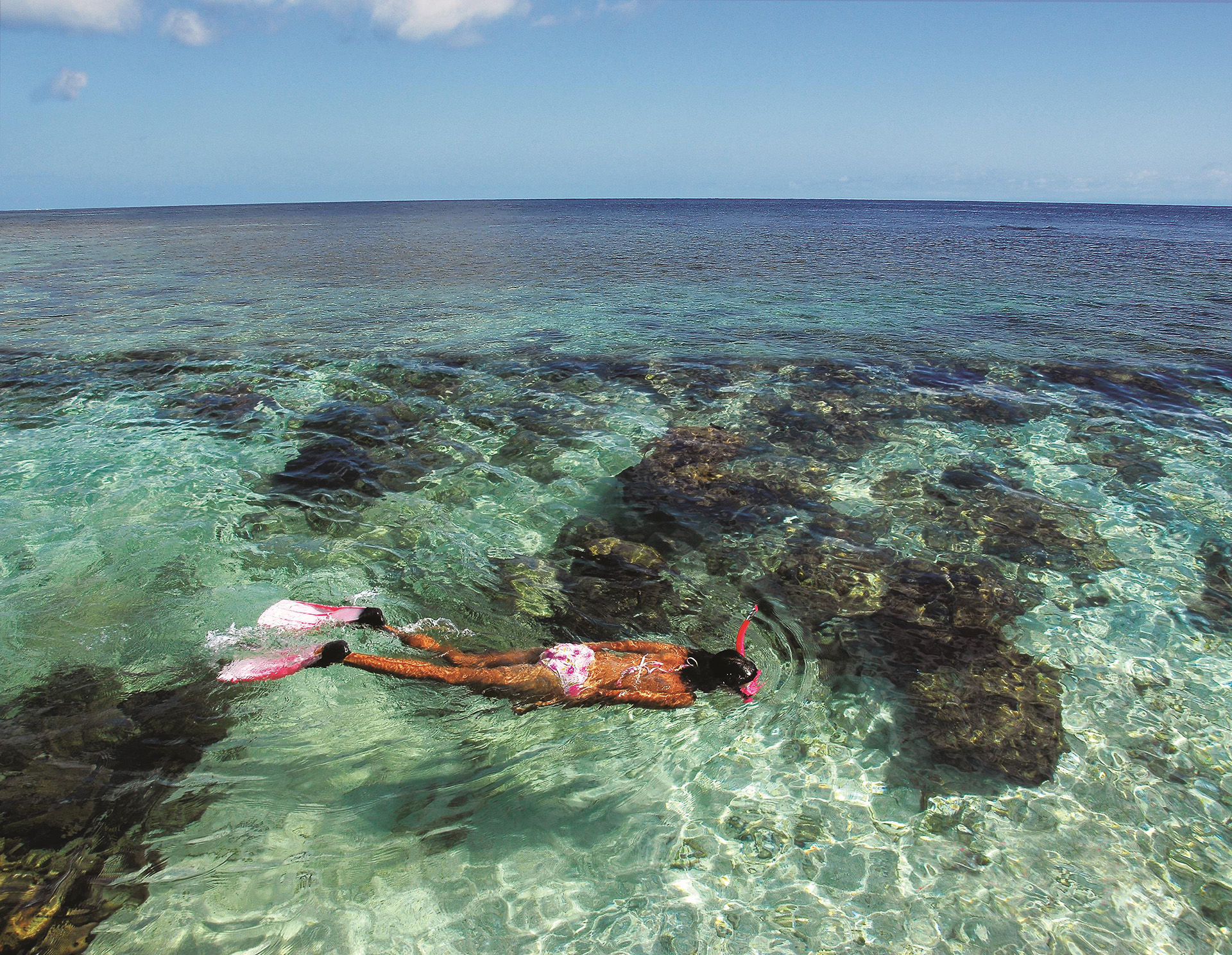 Snorkeling in the Bay Islands Snorkeling in the Bay Islands