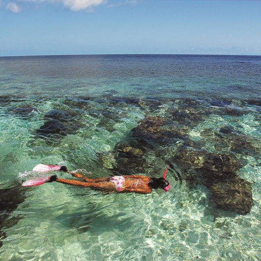 Snorkeling in the Bay Islands