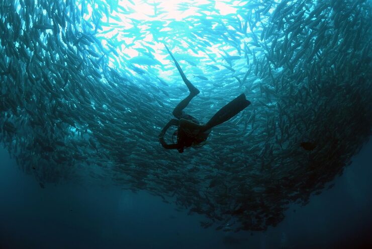 SCUBA diving in Malaysia