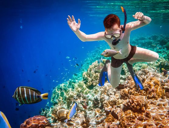Snorkeling in Maldives
