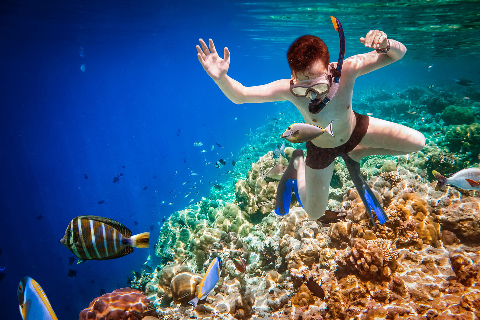 Snorkeling in Maldives