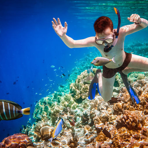 Snorkeling in Maldives