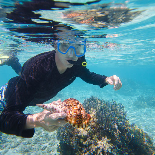 Snorkeling in Micronesia