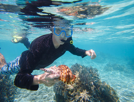 Snorkeling in Micronesia