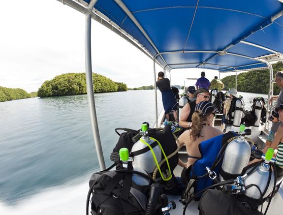 SCUBA diving in Micronesia