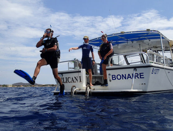 Learn to Dive on Vacation