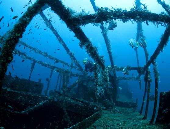 SCUBA diving in the Philippines