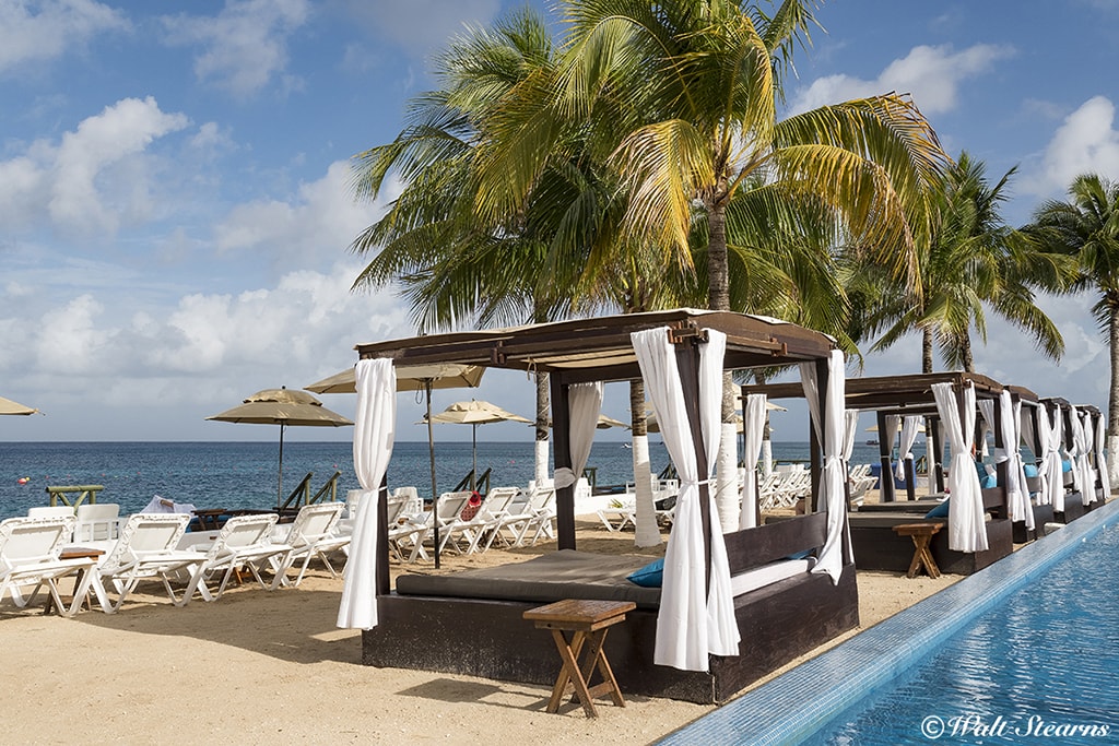 The best dive resorts combine bottom time with a full range of topside amenities to deliver a total vacation package at an attractive all-together price. The best dive resorts combine bottom time with a full range of topside amenities to deliver a total vacation package at an attractive all-together price.