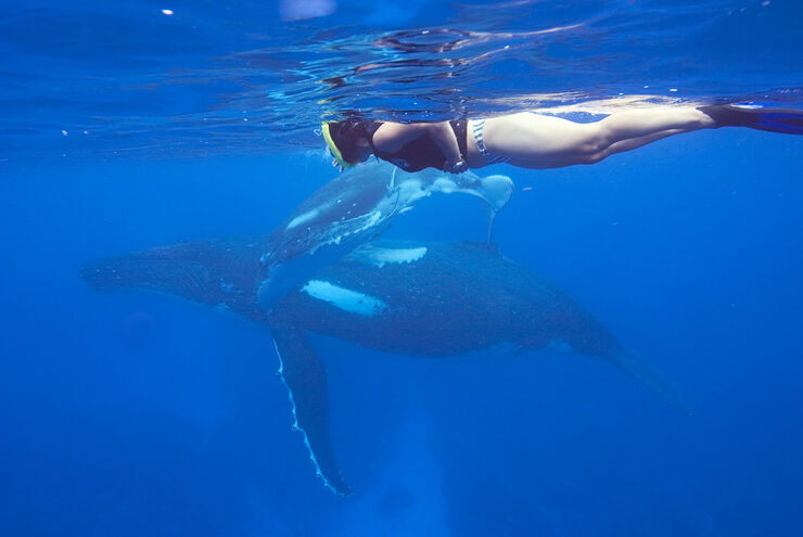 Snorkeling