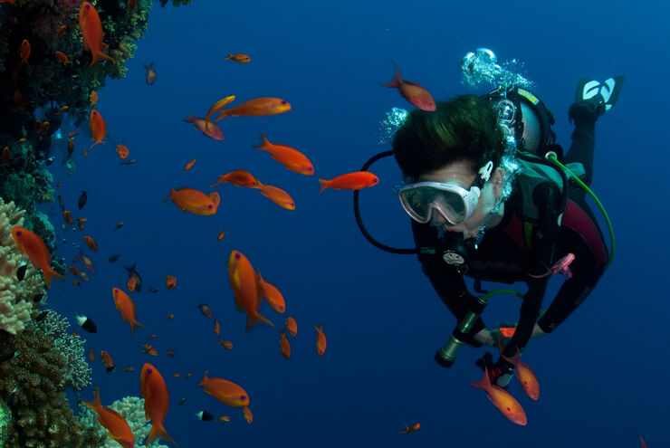 SCUBA diving in the Solomon Islands