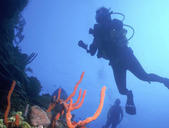 SCUBA diving in St. Kitts and Nevis