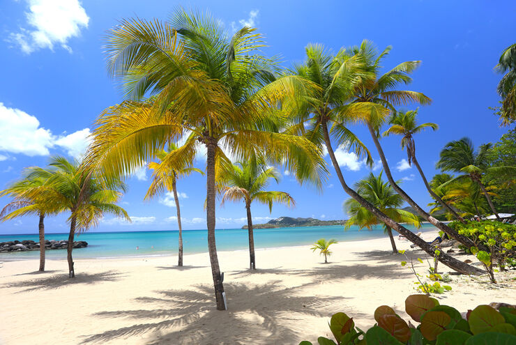 Vacations in St. Lucia