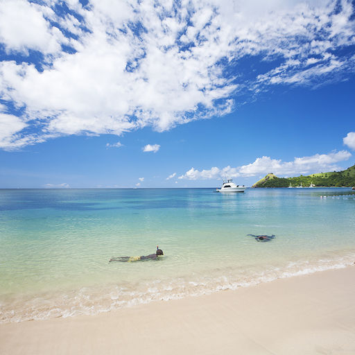 Snorkeling in St. Lucia