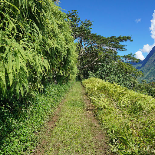 Offroading in Tahiti