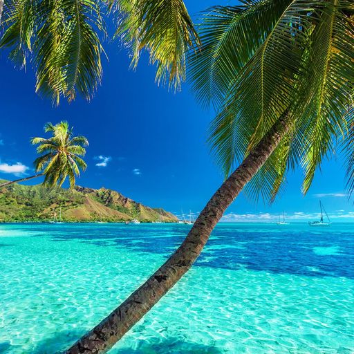 Vacations in Tahiti