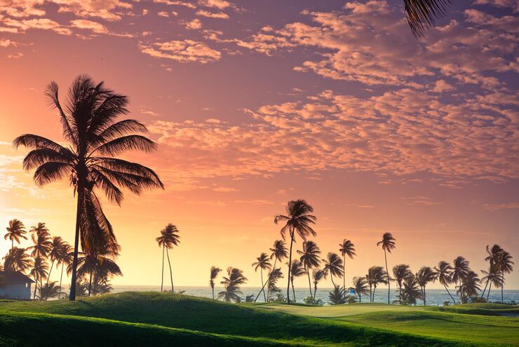 Vacations in Tobago