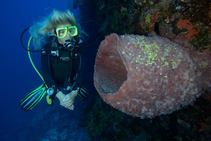 SCUBA diving in Turks and Caicos