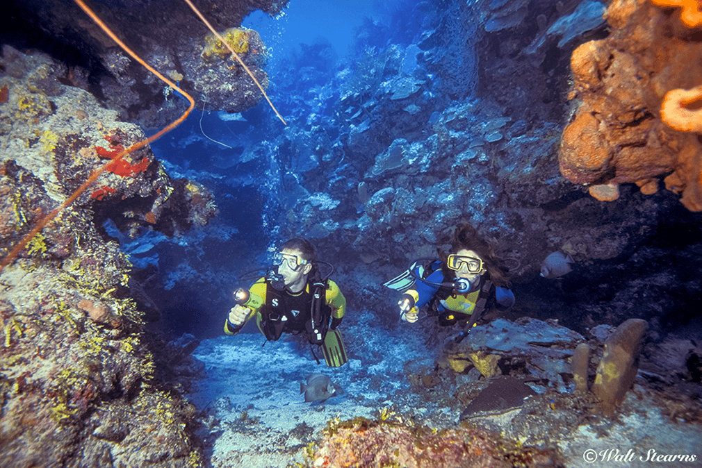 At Little Cayman dive sites such as Randy's Gazebo, the face of the wall is riddled with grottoes and swim throughs. At Little Cayman dive sites such as Randy's Gazebo, the face of the wall is riddled with grottoes and swim throughs.