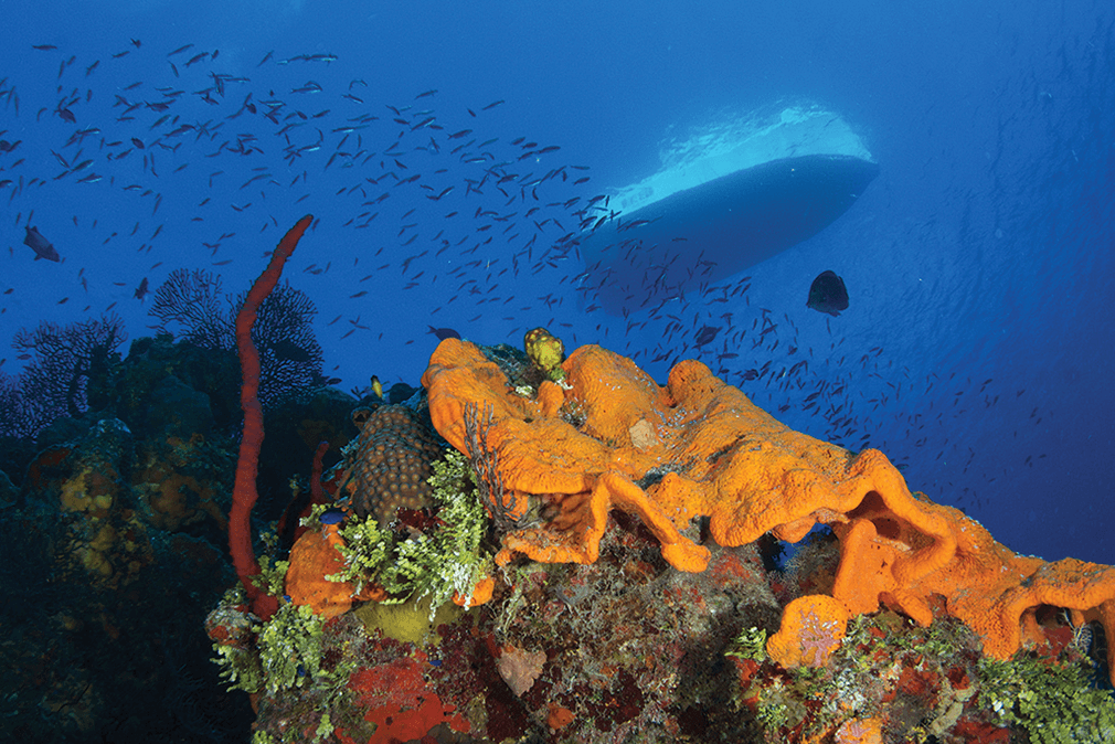 A dive boat floats in the clear waters above the West End dive site known as Orange Canyon. A dive boat floats in the clear waters above the West End dive site known as Orange Canyon.