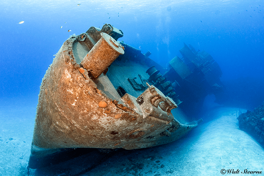 Tipped on its port side by storm surge, the Kittiwake remains the Cayman Island's premier wreck dive. Tipped on its port side by storm surge, the Kittiwake remains the Cayman Island's premier wreck dive.