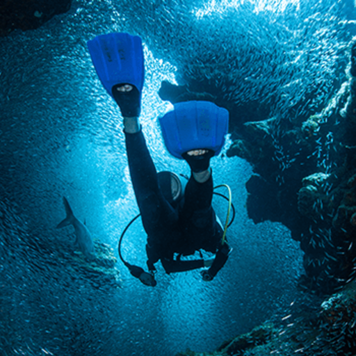A diver explores the cracks, crevices and holes in a coral reef on the island of Grand Cayman