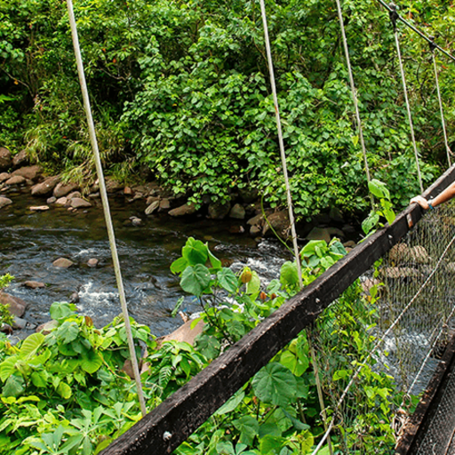 Hiking in Fiji