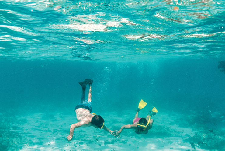 Snorkeling in Aruba